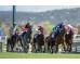  Carrera: P.Hipotur Monta: R.Sousa Caballo: Bertiz